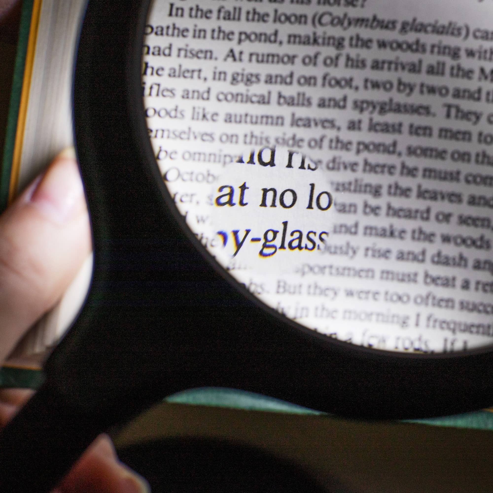 Desktop LED Magnifying Lamp for Hobbyist, Crafting, Reading